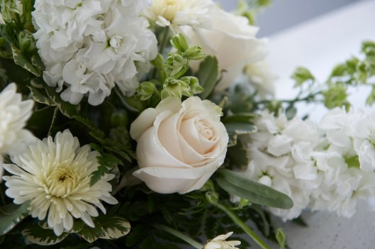 Roger Mastroianni photo